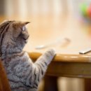 와이비메디칼 이미지