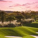 엘리시안컨트리클럽 이미지