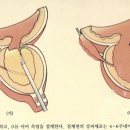 준비뇨기과의원 이미지