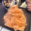 파리바게뜨홍성법원점 이미지