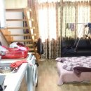 조양초등학교 이미지