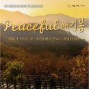 소로3-81 이미지