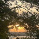 황강체육공원로-L | 서울 노을공원 바비큐페스타 2025 후기