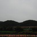 중추절 성묘(省墓)길, 비(雨) 때문에 삼성산행이 안양천으로 수정 이미지