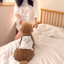 위드 마이 펫 이미지