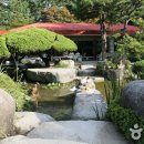 자연석식물원