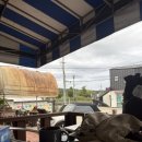 디엠지스테이 이미지