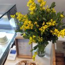 스테이 모어 이미지