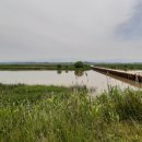 차덕수농장 이미지