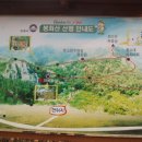 봉화산 140m[김해시 진영읍 본산리] 노 전 대통령 생가 뒷산 이미지