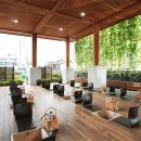 약초와 한방 이미지