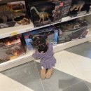 송약국 | 인천 스퀘어원 26개월 아기랑 밤마실, 모던하우스 송사부 앤티앤스