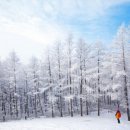 일봉목장 이미지