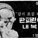 스텔라지 이미지