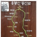 161차 정기산행 울진 응봉산 이미지