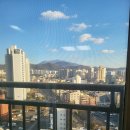 비전아파트 앞 이미지