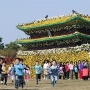 국화어린이공원 이미지