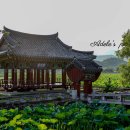 유등연지 둘레길 이미지