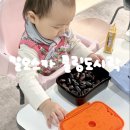 오스카 | 아기 어린이집 유치원 소풍 보냉 도시락 칼오스카 사용 후기