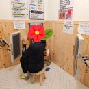 아라사우나 이미지