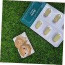 희망가스 이미지