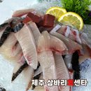 삼바리회센타 | 삼바리회센타 _ 제주도민 맛집 대방어 전문점 내돈내산 솔직후기
