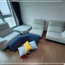 새로클린강남지사