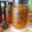 리리팜 부산 네이버블로그