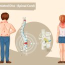 참좋은한의원 이미지
