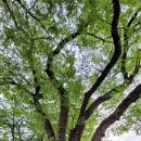 큰마을카센타 이미지