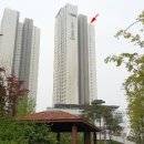 광덕동로 이미지