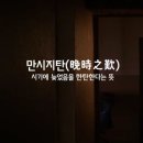만시지탄(晩時之歎)/鶴泉 김순명(영상글 첨부) 이미지