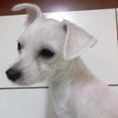 면목2동-011 이미지