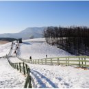 해용목장 이미지