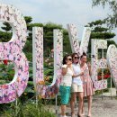 서동메디칼 이미지