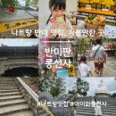 나트랑 가족여행 여섯번째_나트랑 반미 맛집 반미판과 롱선사 후기