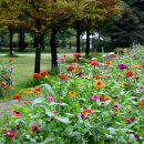 문암생태공원(바베큐장) 이미지