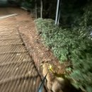 GR(남해군)-[남해대로]-하-9 | 2박3일 남해여행 (남해36.5, 해수욕장투어)