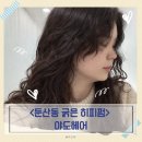 혜성빌딩 | 대전 둔산동 굵은 히피펌 잘하는 곳 야도헤어 혜성 디자이너 찐후기