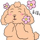 멍뭉식탁 이미지