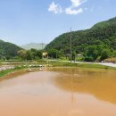 별드림캠핑장 이미지