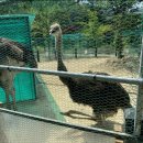 파주힐링캠프 이미지
