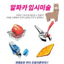 알파카미술학원