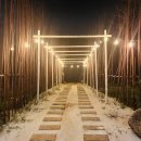 로아누 | [기장맛집] 외관부터 마음에 든 '로아누' 간단 후기!