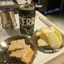 단양생태체육공원 2 | [후기] 단양생태체육공원에서 즐기는 가을 차박(2)