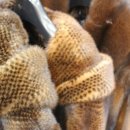 대동콜렉션 이미지