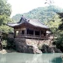 예천종합중기 | 경북 예천 초간정