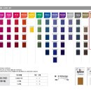 헤어니스트