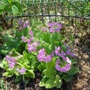 다솔마루 이미지