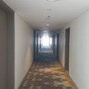 성화당구클럽 | 베트남2일차 오전